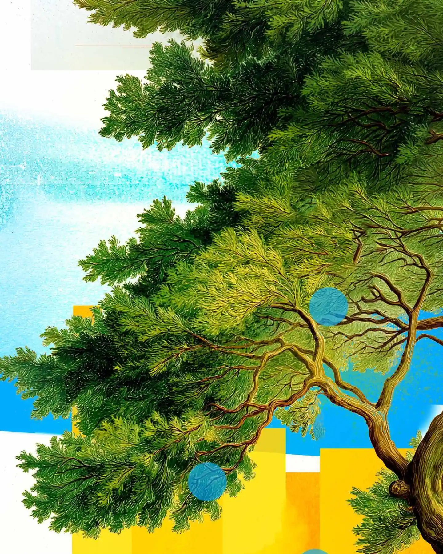 Hammersound 2026 InstagramBaum