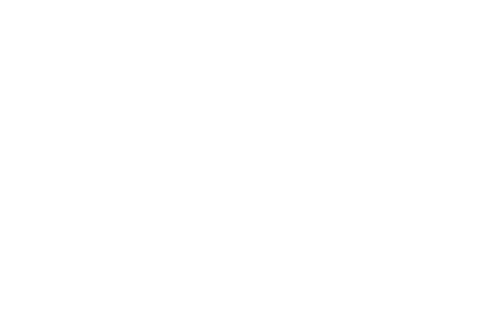 Hammersound Festival Logo weiss